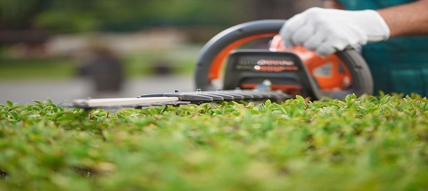 petrol-hedge-trimmer