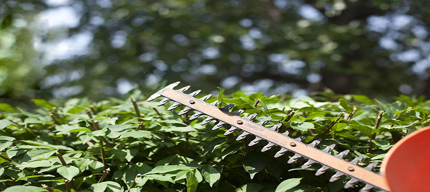 long reach hedge trimmer