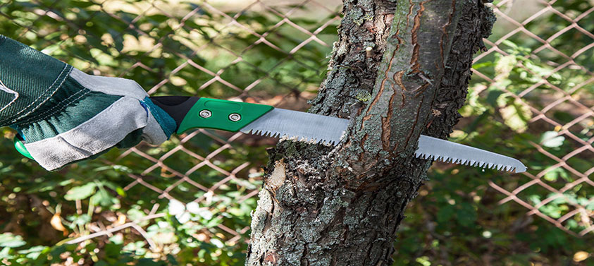 pruning-saw