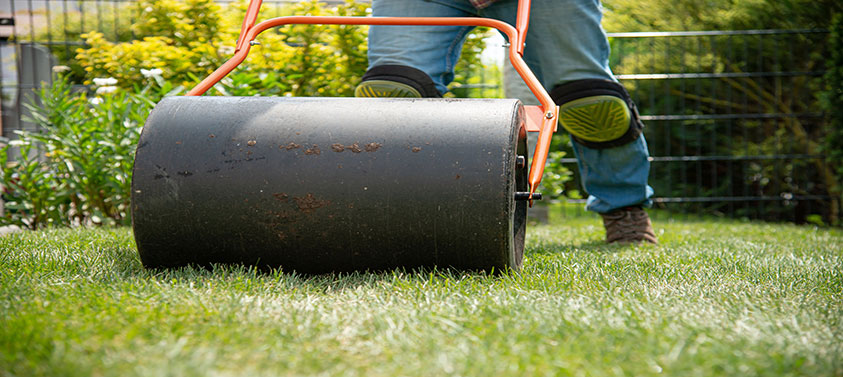 garden-roller