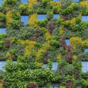 DIY Vertical Garden Ideas for Small Spaces