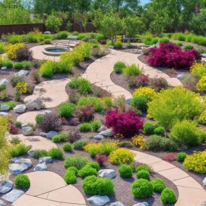 How to Design a Water-Wise Xeriscape Garden