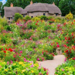 How to Create a Cottage Garden: Charm and Character