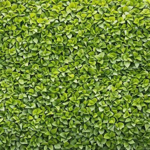Growing Your Own Salad Garden: Fresh Greens at Your Fingertips