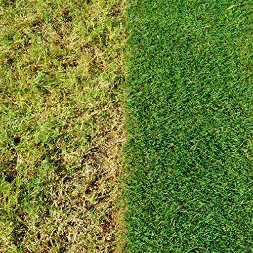 Review: Miracle-Gro 4-in-1 Spreader - The Lawn Care Miracle