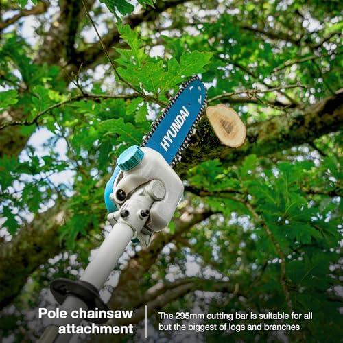 Hyundai 5-in-1 petrol Garden Multi Tool Review: Power, Performance, and Versatility