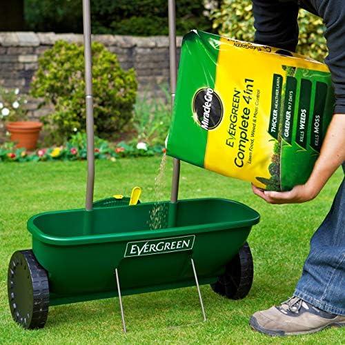 Reviving Our Lawn with miracle-gro Evergreen 4 in 1: A Complete Review